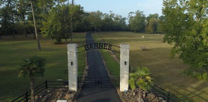 17553 Fm 149 Road, Montgomery