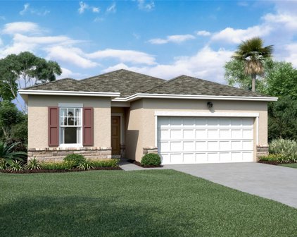 2302 Harris Hawk Avenue, Ruskin