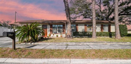 4906 Carlyle Road, Tampa
