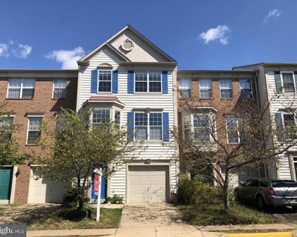 1125 Cypress Tree Pl, Herndon