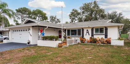 7136 Isle Drive, Port Richey