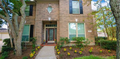3006 Autumn Cove Court, Friendswood