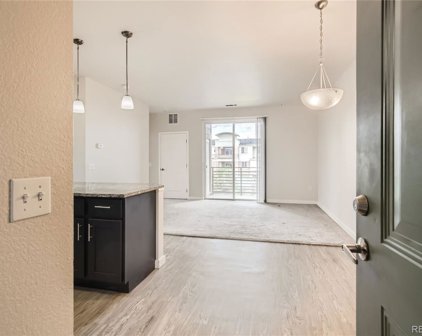 4100 Albion Street Unit 514, Denver