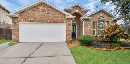 25827 Rustica Drive, Tomball