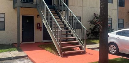 320 Oak Rose Lane Unit 201, Tampa