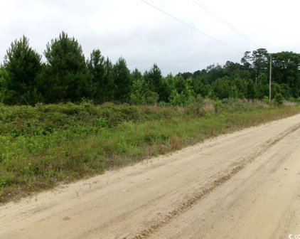 TBD Millers Rd., Mullins