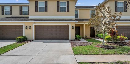 8605 Fiddleleaf Court, Tampa