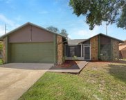 4105 Spring Way Circle, Valrico image