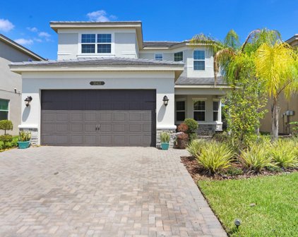 30421 Sunland Court, Wesley Chapel