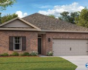 527 Wolf Trace, Hartselle image