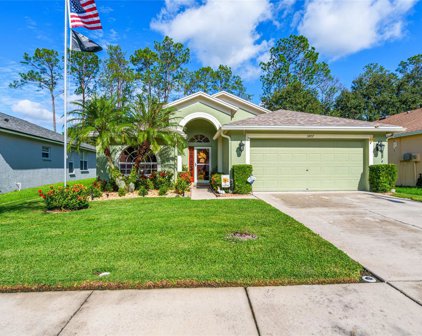 34717 Pinehurst Greene Way, Zephyrhills