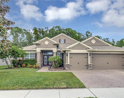 8846 Crystal Creek Court, Land O' Lakes
