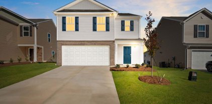 1412 Trotting, Roebuck