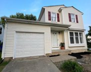 329 Skeet Ave, Bear image