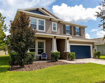 11842 Frost Aster Drive, Riverview