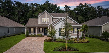 247 Latrobe Avenue, St Augustine