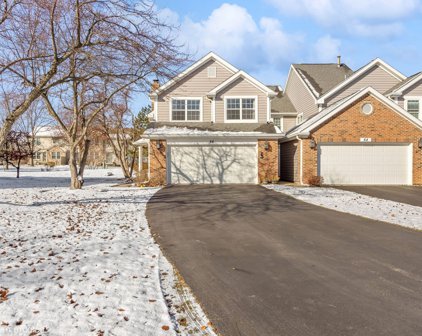 66 Whitman Drive, Schaumburg