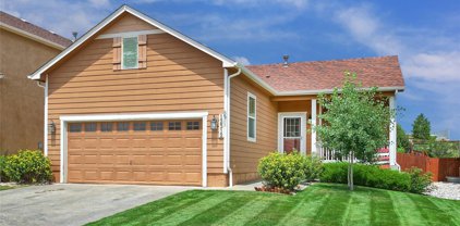 12312 Point Reyes Drive, Peyton