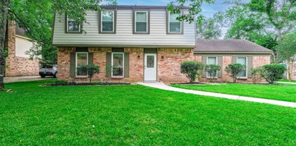 2214 Willow Point Drive, Kingwood