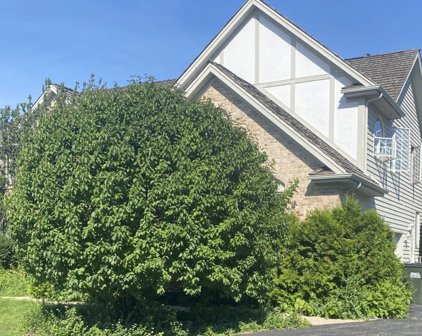 305 Cobblestone Court, Lake In The Hills