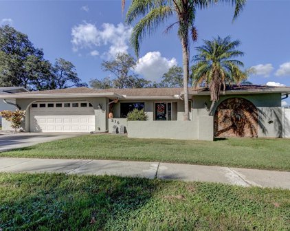 215 Meadowcross Drive, Safety Harbor