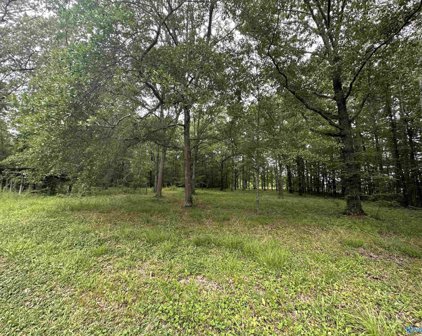 Lot 27 Lasalle Street, Rainbow City