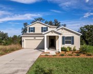 5364 Red Coral Circle, Mount Dora image