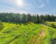 18538 Upper Fords Creek, Weippe image