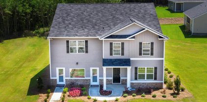 113 Creek View Lane, Dacula