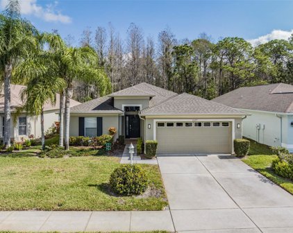 1127 Dustan Place, Trinity