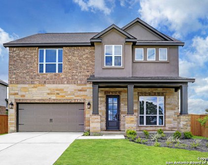 317 Horsemint Way, San Marcos