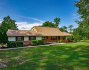 234 Old Forge Road, Chapin image
