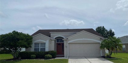 26648 Affirmed Drive, Wesley Chapel
