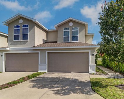 2264 Montview Drive, Clearwater