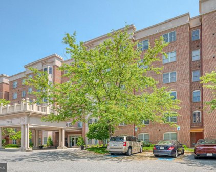 7902 Brynmor Ct Unit #201 AND #202, Pikesville