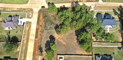 13513 Juniper, Lindale