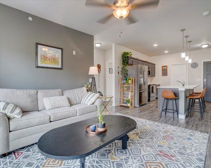 1501 N Windsor Avenue Unit 204, Cottage Grove