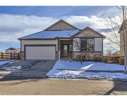 1497 Honey Drop, Windsor