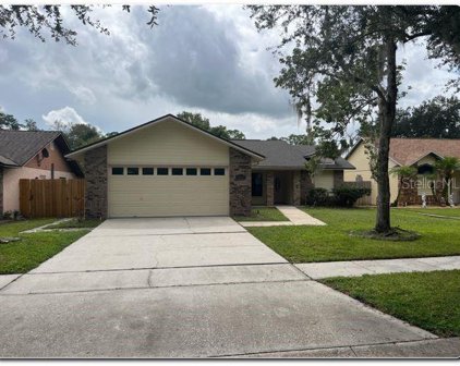 10106 Cheshunt Drive, Orlando