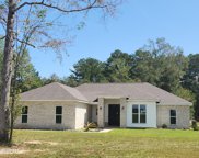 26020 Dennis Nelson Road, Lucedale image
