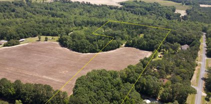 23 acres Highway 167, New Brockton