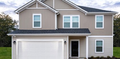 140 Lavinia, Lyman