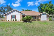 29341 Downy Place, Wesley Chapel image