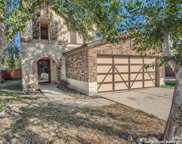 630 Canadian Goose, San Antonio image