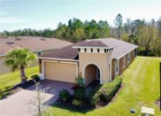 1007 Harbor Ridge Drive, Poinciana image