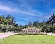 11798 Royal Tee  Court, Cape Coral image