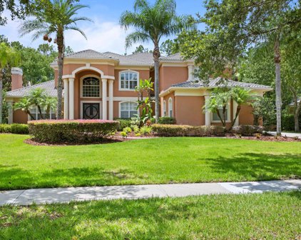 16416 Burniston Drive, Tampa