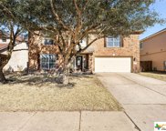 1402 Delia Chappa Lane, Hutto image