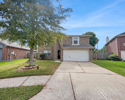 2868 Shallow Brook Lane, Dickinson