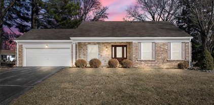 6 Pittsfield  Court, Chesterfield